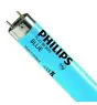 Philips MASTER TL-D 36W - Blue | 120cm
